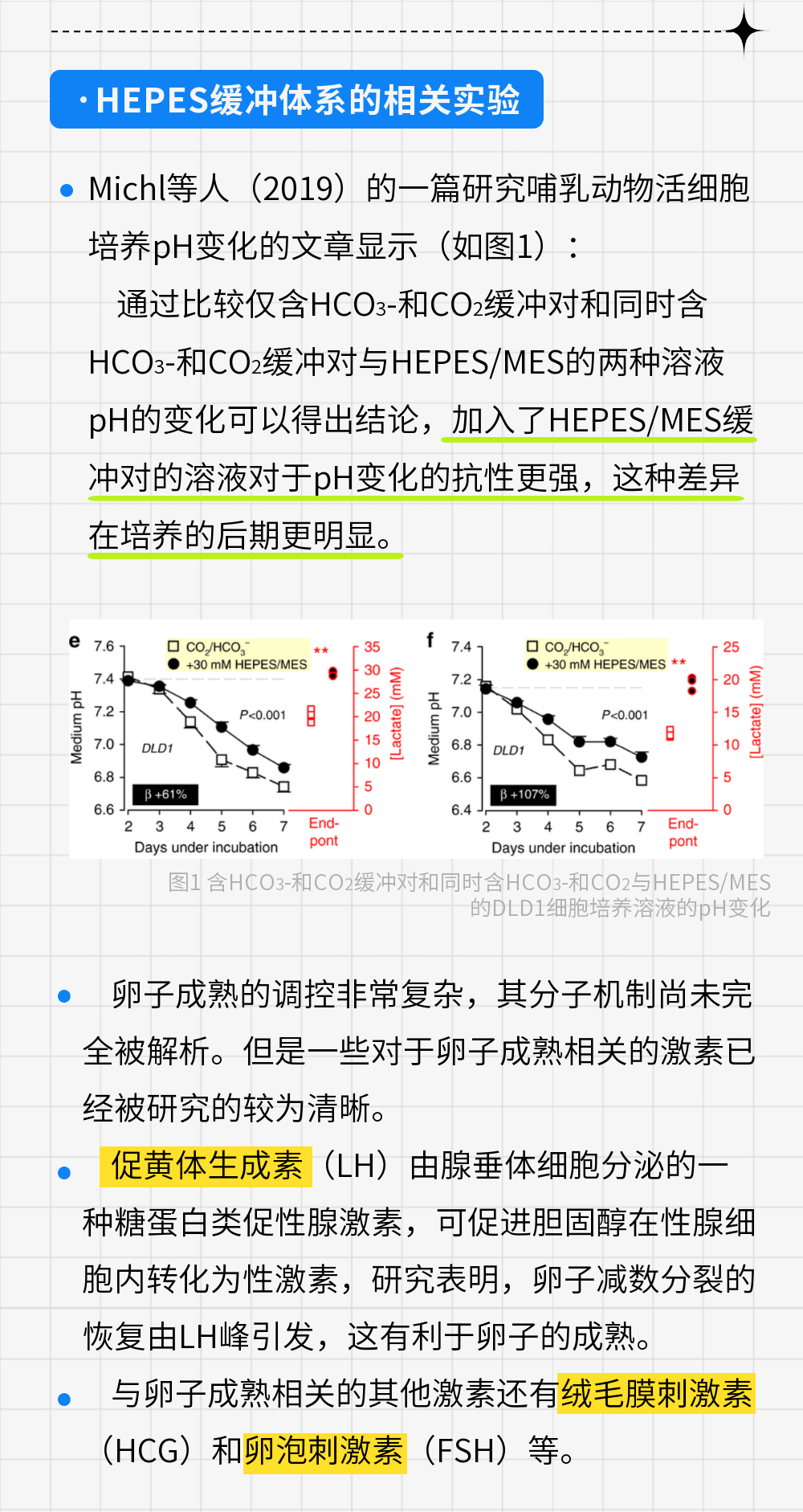 稿定设计-5.png